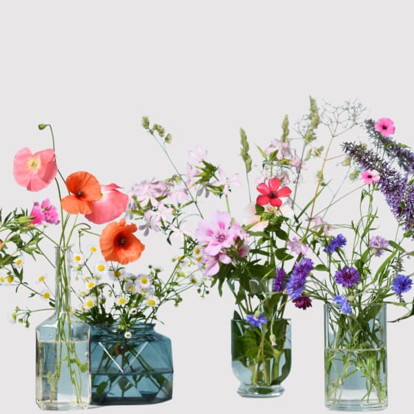 Assorted wildflowers in four glass vases