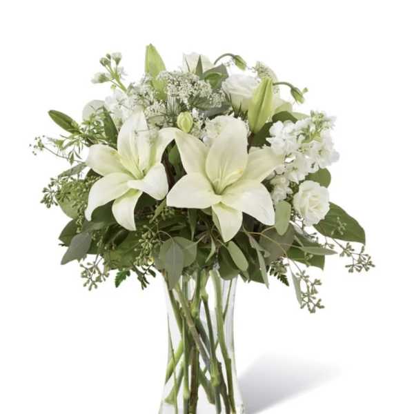 White Wonder