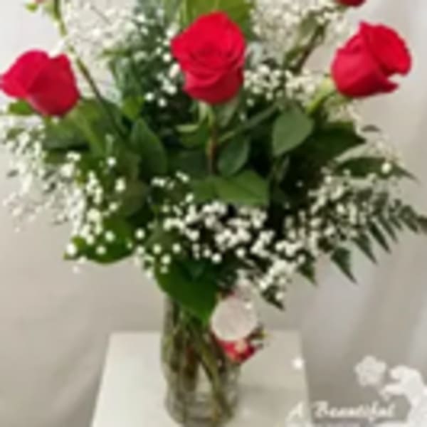 traditional half dozen red roses