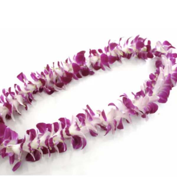 Purple and white orchid lei on a white background