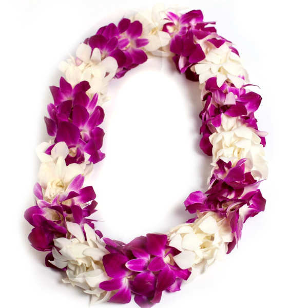 Purple and white orchid lei arranged in a loop