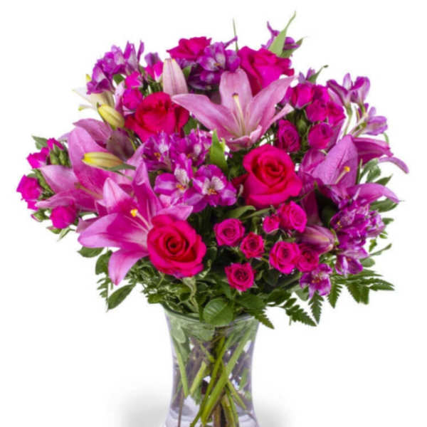Lavender Of Rose's