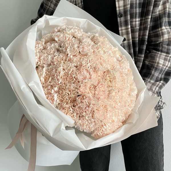 50 beige dianthus