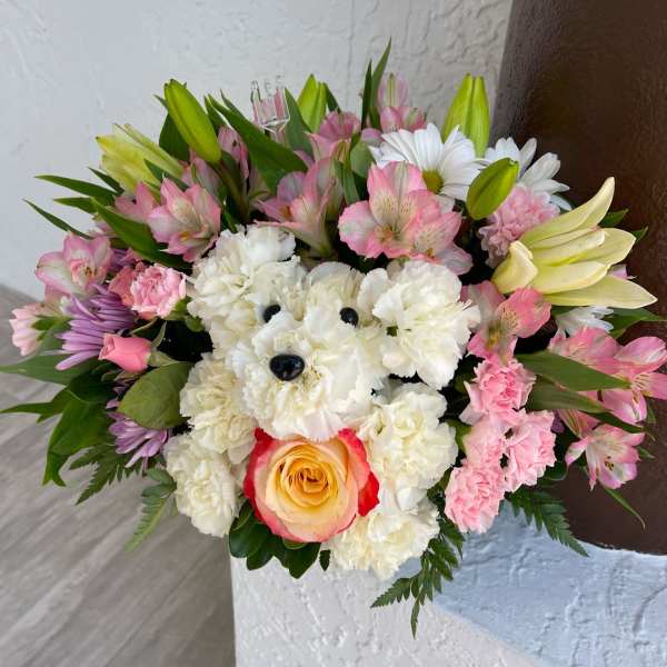 Beautiful puppy
