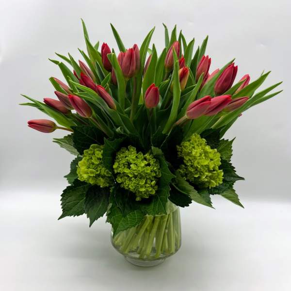 Pink tulips arranged in a clear glass vase with green hydrangeas