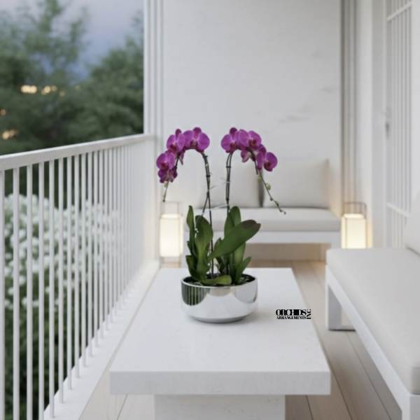 Purple orchids in a silver bowl on a white table