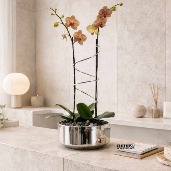 Two orchid stems in a shiny silver bowl planter