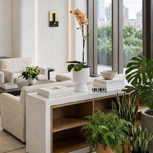 Potted orchid arrangement in a white ribbed planter in a modern room