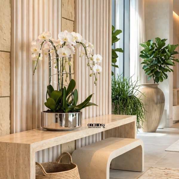 Fleur Orchid Miami