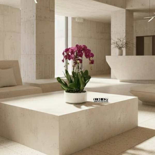 Prosperity Orchid Miami