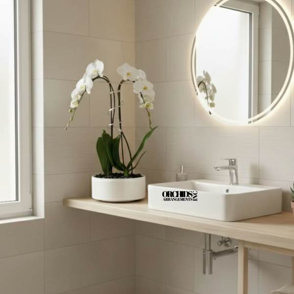 Glamorous Orchid Miami