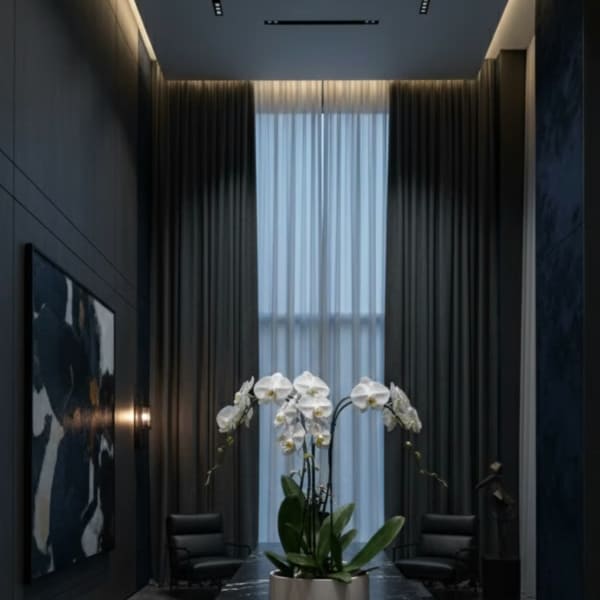 Enchanting Orchid Miami