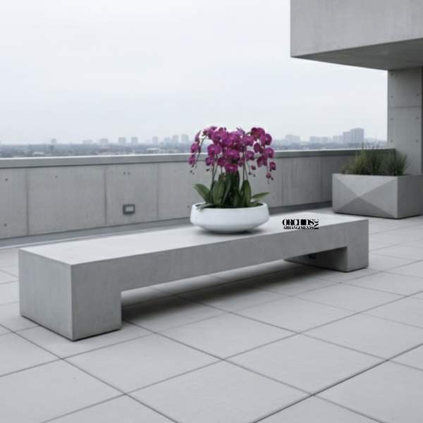 Pink orchids in a white bowl on a concrete bench