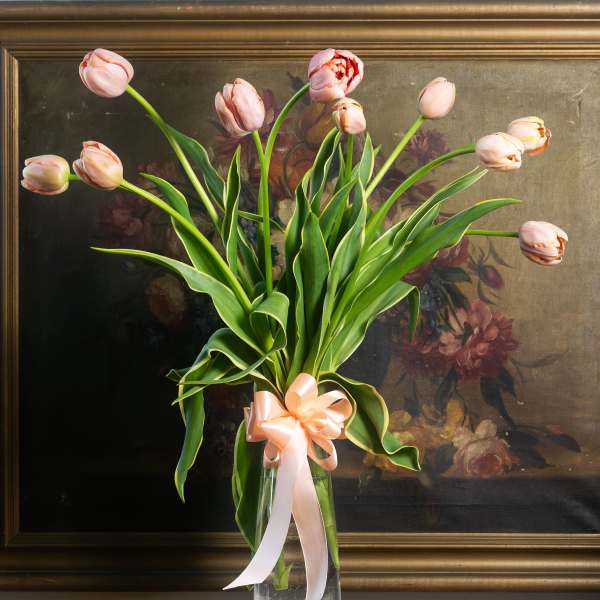 Long Stemmed French Tulips