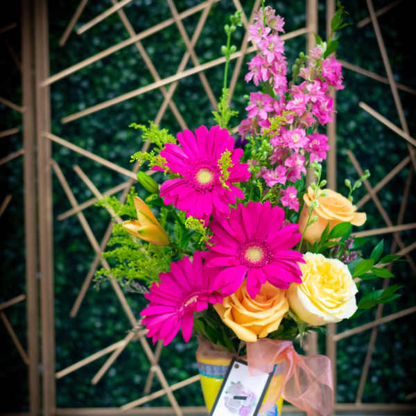 Garden of Gerbers
