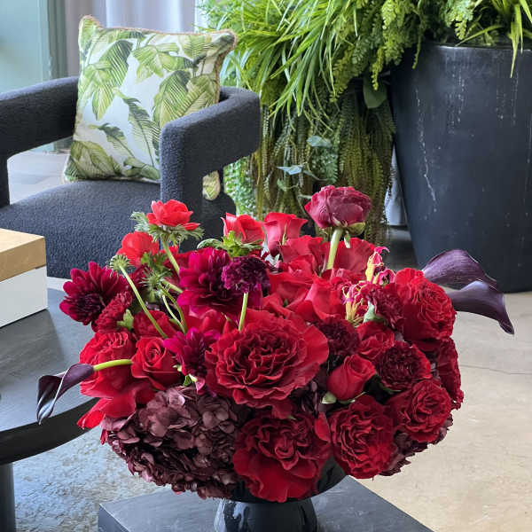 Deck of Red