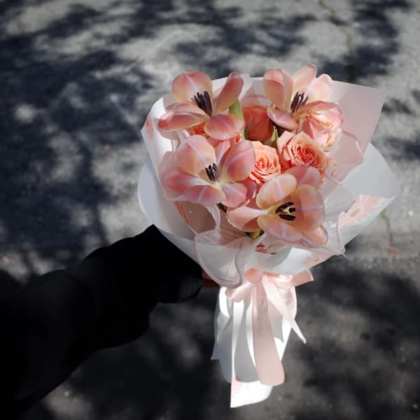 Peach Cloud Kiss
