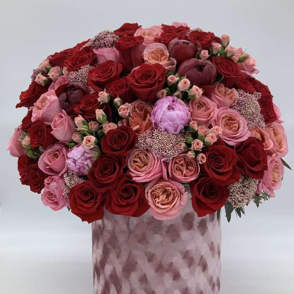 Burgundy Elegance byAmore Luxury Collection