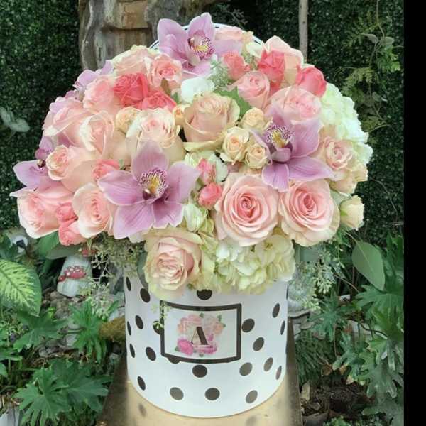 Amore pastel box