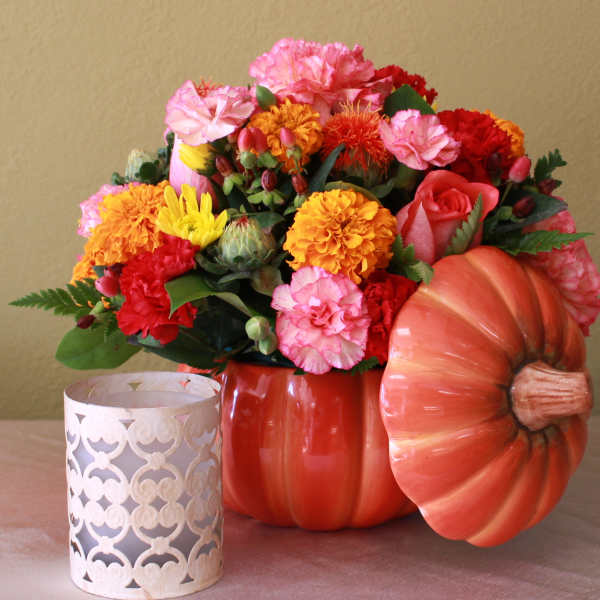 pumpkin gathering two