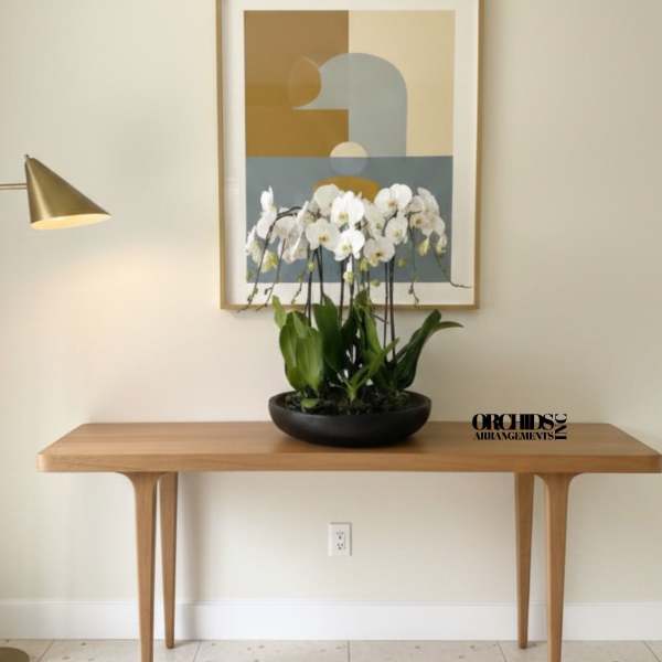 White orchids in a black bowl on a wooden table