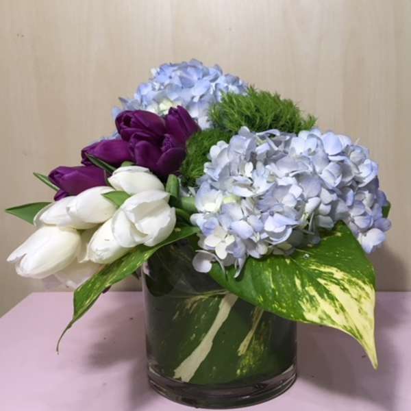 Purple and white tulips with blue hydrangeas in a glass vase