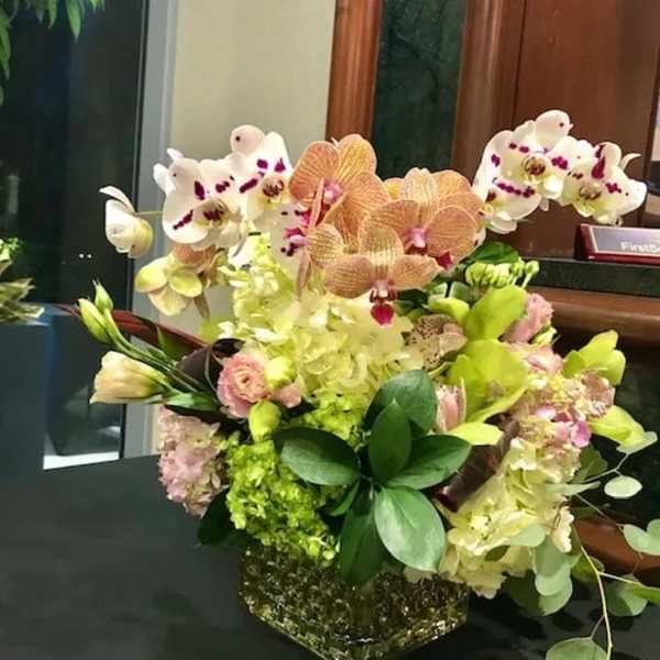 Orchid arrangement in a square glass vase with pale pink and white blooms