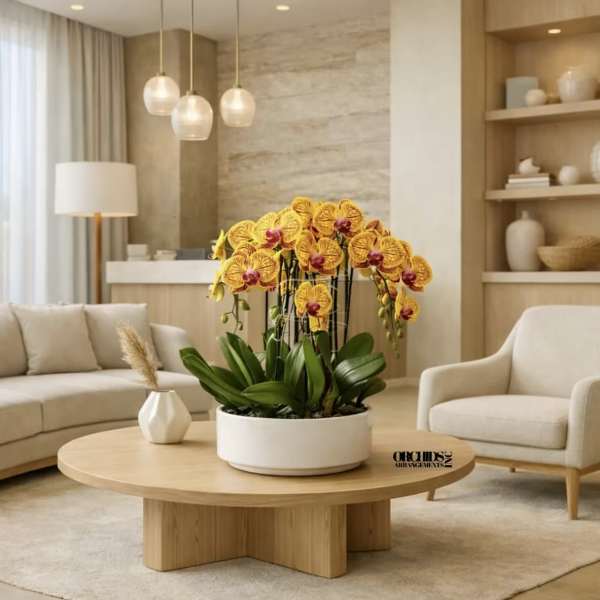 Uniqueness Orchid Miami