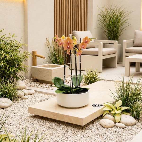Modern Orchid Miami