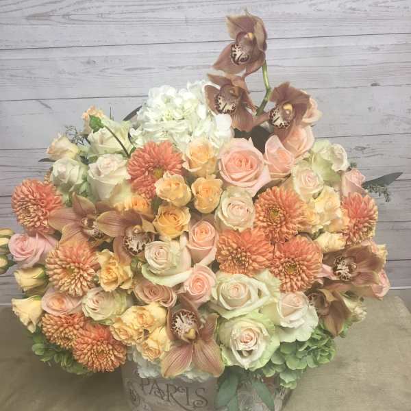 Autumn Delight