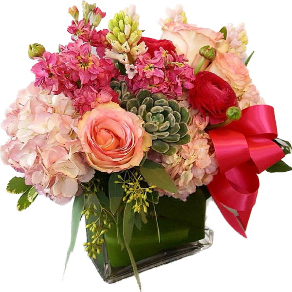 Pink surprise