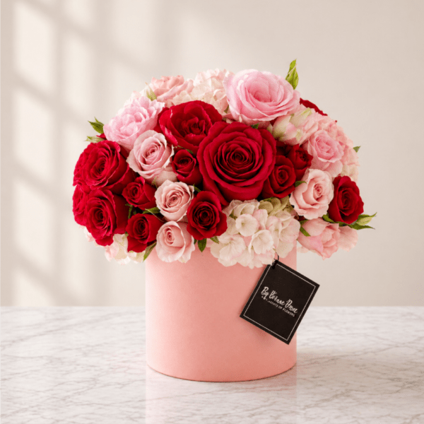 Velvet Blush