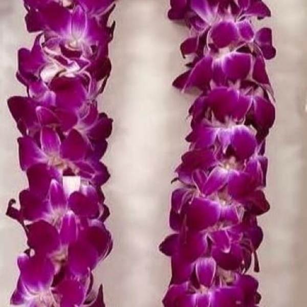 Graduation Orchid Lei (Double)