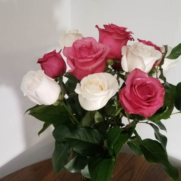 Bouquet of pink and white roses in a glass vase