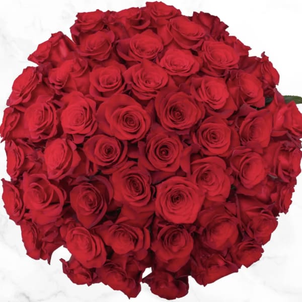 Large bouquet of red roses on a white background