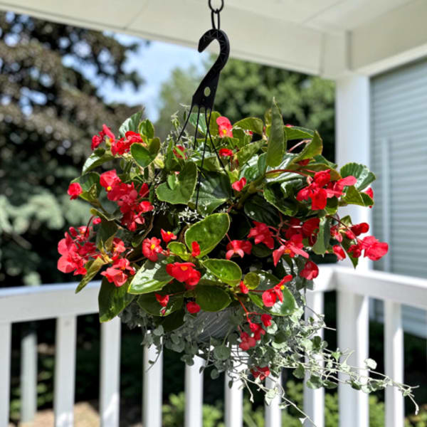 Premium Hanging Basket