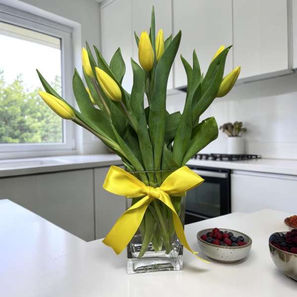 Tulip Simplicity