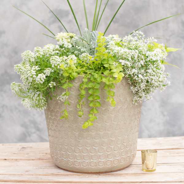 Monochromatic Patio Pot (DELUXE SIZE IS PICTURED)