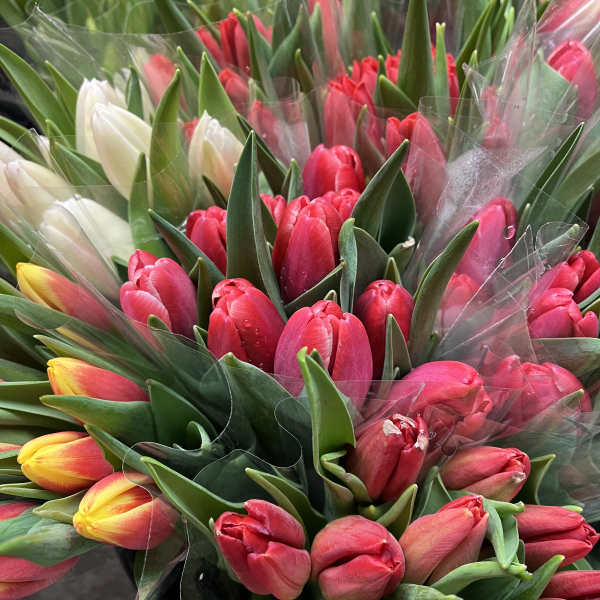 Wrapped tulips