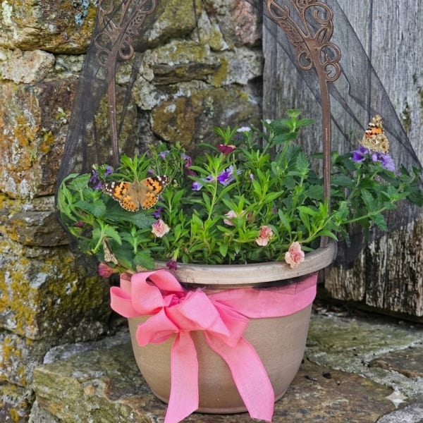 Wings & Blooms Patio Pot