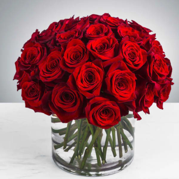 Flores