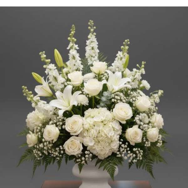 Serene Sympathy