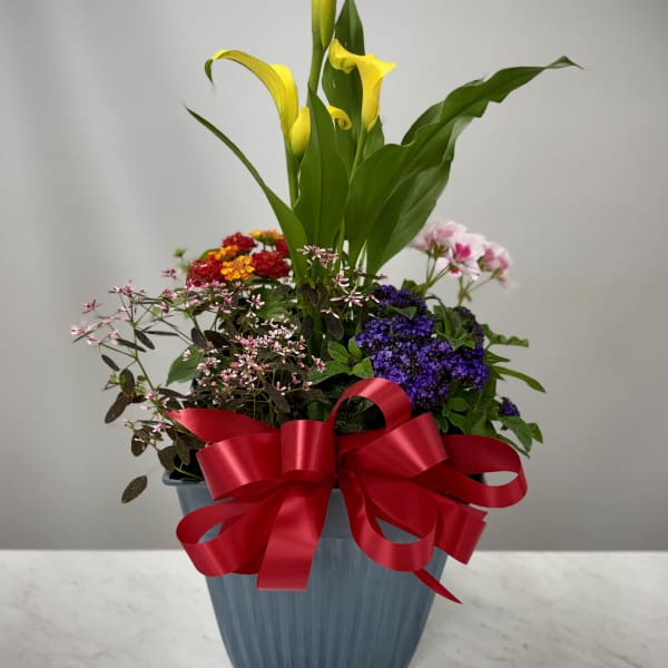 Mother's Day - Large Long Lasting Pot
