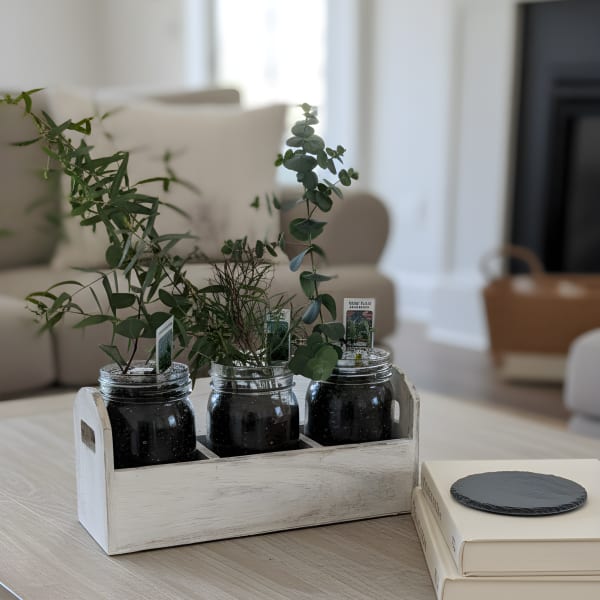 Eucalyptus Farmhouse Garden