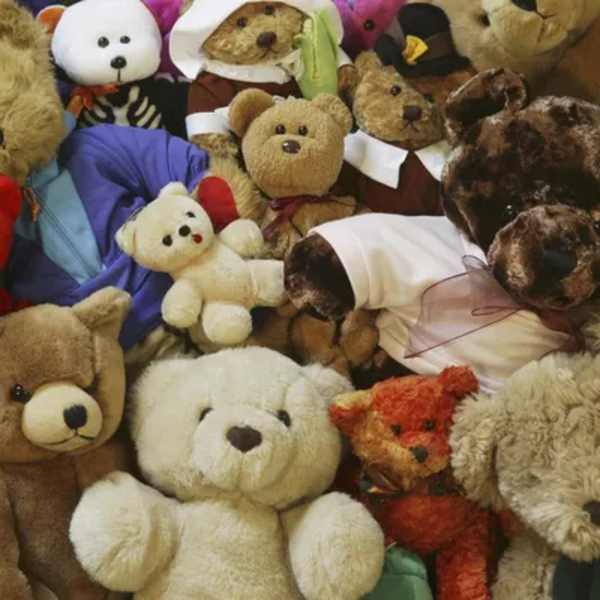 Teddy Bear