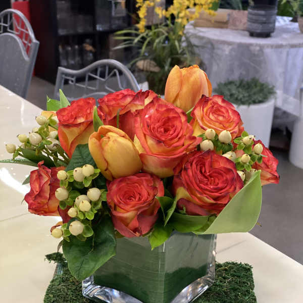 Roses and Tulips
