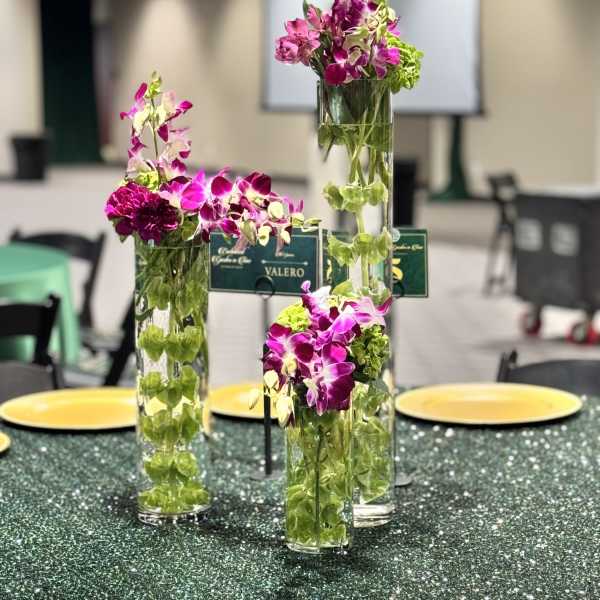 Trio Orchid