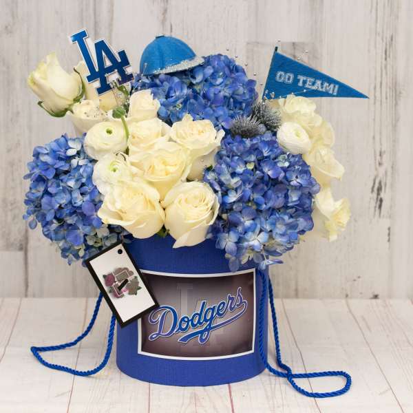 Team Spirit dodgers