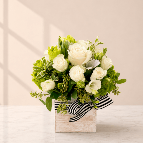 White roses and green blooms in a rustic wooden box with a striped ribbon