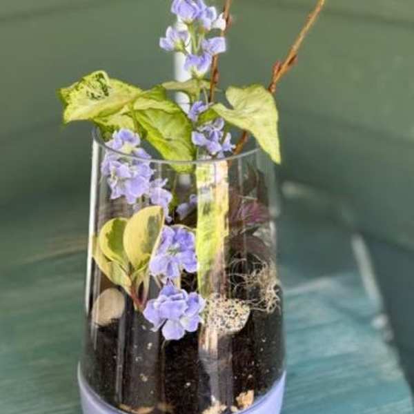 Terrarium